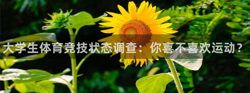 3377体育官方正版app官网:大学生体育竞技状态调查:你喜