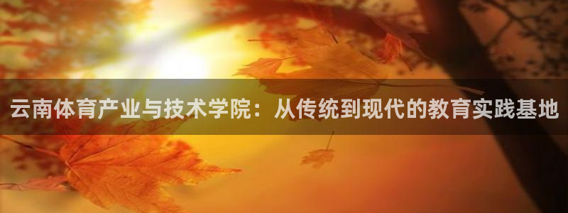 3377体育官网下载平台APP:云南体育产业与技术学院:从传