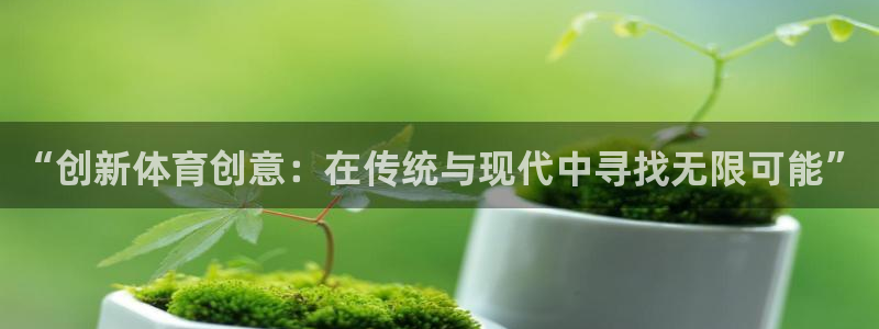 海南3377体育官网下载发展怎么样:“创新体育创意:在传统与