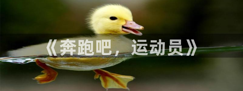 3377体育官方正版app娱乐代理怎么样:《奔跑吧,运动员》